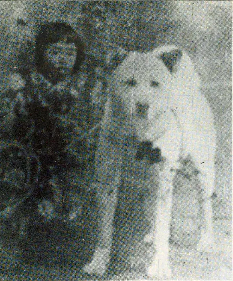 "อากิตะของนายคิตายามะ ถ่ายราวปี ค.ศ. 1907 ในเมืองโอดาเตะ จังหวัดอากิตะ ประเทศญี่ปุ่น"